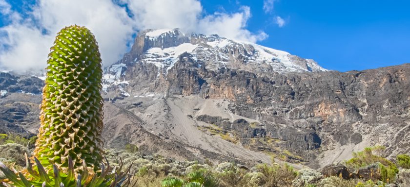 8 Days ultimate Mtn Kilimanjaro hike through the most scenic Lemosho route